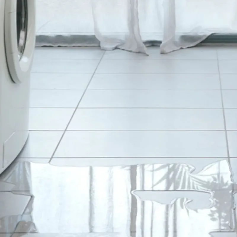 Appliance Leak Cleanup in Vero Beach, FL