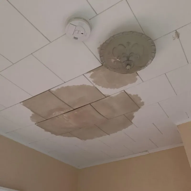 Ceiling Water Damage Repair in Vero Beach, FL